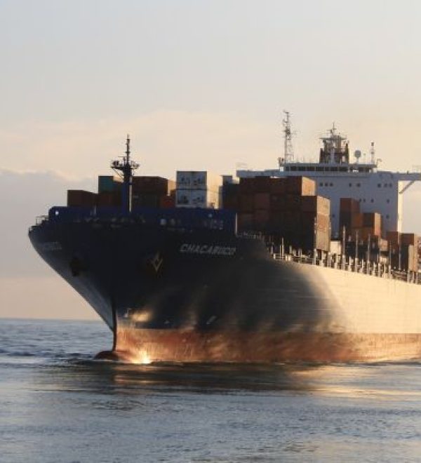 Быстрая доставка из Турции в Россию